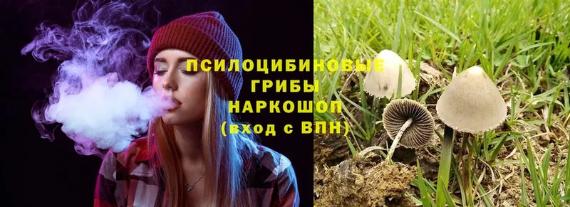 Псилоцибиновые грибы MAGIC MUSHROOMS  площадка формула  Белогорск 